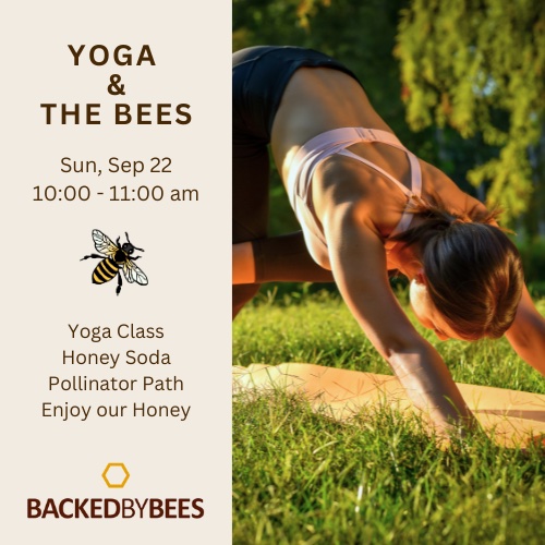 yoga and the bees