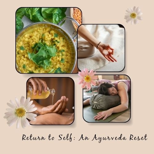 ayurveda reset workshop
